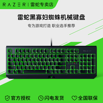 Razer雷蛇黑寡妇蜘蛛标准版V4专业版X竞技V3电脑电竞游戏机械键盘