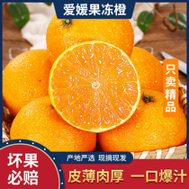 爱媛果冻橙新鲜大果水果手剥甜汁橙现摘发新鲜榨汁甜皮薄多汁现摘