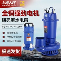 上海人民潜水泵220V单相家用抽水机3寸4寸农用高扬程灌溉排污水泵