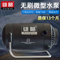 9RAM无刷微型直流12v小水泵可调节超静音鱼缸换水洗澡循环开槽机
