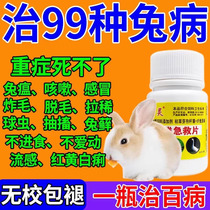 兔子常备药宠物兔拉肚子拉稀专用兔病专家驱虫药球虫肠炎预防治疗