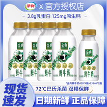 伊利金典鲜牛奶235ml*2+450ml*4组合装全脂高钙营养早餐巴氏杀菌