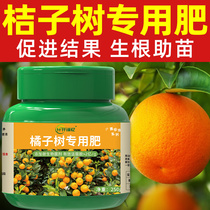 桔子树专用肥橘子肥料柚子盆栽柑橘营养液金桔水溶沃柑果树柠檬肥
