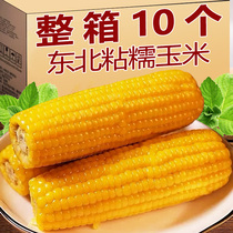 玉米新鲜糯玉米棒甜粘黏真空包装袋非即食东北特产黄白花玉米整箱