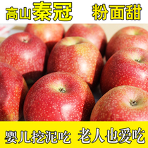 秦冠苹果当季水果面甜粉婴儿老人都爱吃净重气柱箱80以上8.5斤