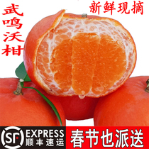 武鸣沃柑一级大果10斤新鲜水果当季整箱沙糖蜜橘砂糖柑橘桔子橘子