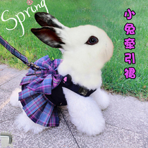 幼兔侏儒兔子专用小衣服兔子衣服牵引绳夏天溜小兔子穿的防挣脱可