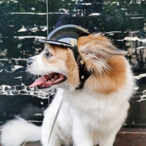 帽狗机车中型猫咪摩旅用小型双耳宠物狗大型犬帽子洞安全头盔舒适