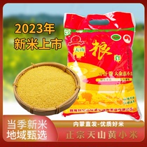 新加工赤峰天山大金苗小米2.5公斤杂粮农家月子米粗粮刘谷香新米