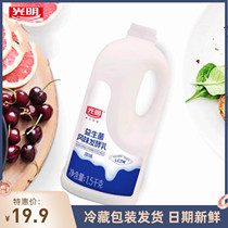 光明益生菌风味发酵乳原味红枣味酸奶大桶 大瓶装酸奶水果捞奶茶
