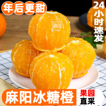 湖南麻阳冰糖橙新鲜水果橙子9斤当季整箱超甜脐甜橙应季手剥橙10