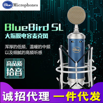 厂家Blue BlueBird SL蓝鸟电容麦 电脑录音主播话筒 手机直播声卡