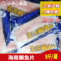 生冻鲷鱼片海南鲷鱼片刺身料理商用海鲜食材冷冻整箱半成品