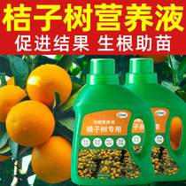桔子树专用营养液橘子水溶肥柑橘复合肥料金桔果树沃柑盆栽橙子树