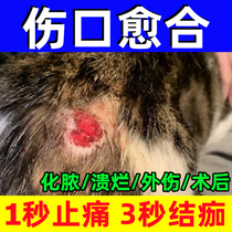宠物狗狗伤口愈合药猫咪受伤药化脓溃烂绝育术后消炎止血外用药膏