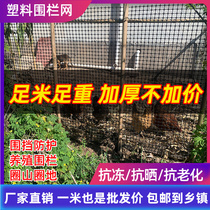塑料网格防护网养殖菜园鱼塘拦鸡网子栅栏户外圈玉米网养鸡围栏网