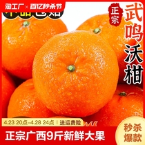 正宗广西武鸣沃柑9斤新鲜当季水果砂糖蜜橘柑橘桔子整箱包邮尝鲜