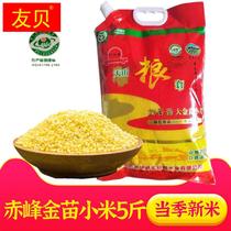 新加工赤峰天山大金苗小米2.5公斤杂粮农家月子米粗粮刘谷香新米