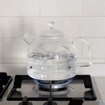 德国Trendglas直火煮茶壶耐高温玻璃烧水壶大容量水果泡茶壶过滤