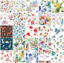 矢量设计素材 25张唯美水彩花松果蝴蝶松树菠萝巴黎图案 EPS格式
