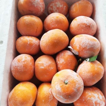 【正宗武鸣茂谷柑】自家种现摘现发泡沫箱装特色桔子柑橘爆甜可口