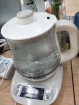 小熊养生壶0.8L升迷你办公小容量全自动加厚玻璃煮花茶电热烧水壶