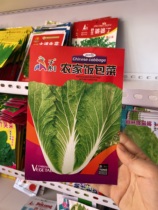 东北农家圆叶饭包菜种子小白菜种子擗帮白菜籽满8元包邮