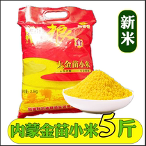 内蒙赤峰天山大金苗5斤杂粮小米粥农家月子米粗粮食吃小黄米新米