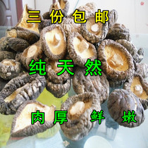 陕西土特产农家秦岭椴木香菇干货 冬菇小香菇干蘑菇家用天然250克