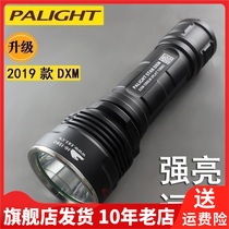 palight霸光LED强光日常携带远射垂钓骑行多功能充电手电筒DXM-L2