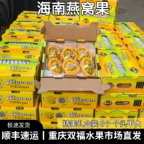 海南燕窝果丨麒麟果整件6个礼盒装 不是黄色火龙果 重庆双福水果