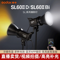【升级二代】Godox神牛SL60 W Bi双色温直播补光灯LED摄影常亮灯100D 直播间太阳灯儿童摄影灯视频拍摄柔光灯