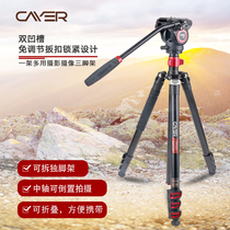 卡宴FP2450相机三脚架单反摄像三角架摄影反折旅行便携支架独脚架