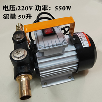 大流量电动抽油泵12V24V220V大功率柴油泵自吸泵550W直流泵加油机