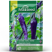 【MARSEED】进口Cayenne Purple Pepper 紫色卡宴辣椒种子籽孑苗