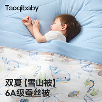 taoqibaby儿童夏凉被婴儿蚕丝被子婴儿盖被幼儿园专用宝宝空调被