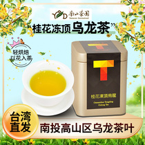 南山茶园台湾特级玫瑰红玉红茶马告阿萨母栀子花包种茶冻顶乌龙茶