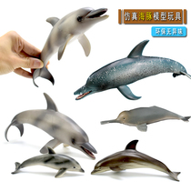 仿真海豚模型玩具 大号实心塑胶动物河豚鱼缸场景摆件男孩礼物