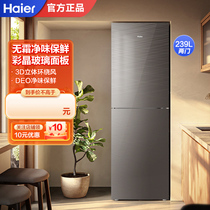 【彩晶玻璃】海尔电冰箱239L两门双开门小型家用双门节能风冷无霜