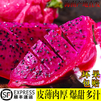 海南火龙果红心新鲜水果整箱当季金都一号大果红色火龙果红肉10斤