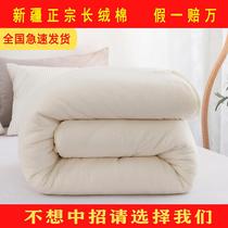 8斤新疆棉被芯一级棉胎棉花被子冬季加厚垫褥子手工棉絮厂家供应