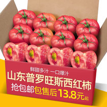 山东高山沙瓤西红柿5-9斤装自然熟非铁皮柿子水果普罗旺斯番茄