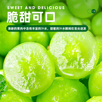 阳光玫瑰葡萄日本品种香印晴王青提无籽提子新鲜水果当季5斤整箱