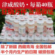 150ml津威小瓶酸奶大瓶整箱装贵州精威金威乳酸菌饮料儿童型