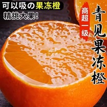 特级四川正宗晚熟青见果冻橙38号新鲜当季水果爆甜多汁新鲜非爱媛