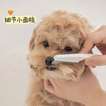 韩国宠物猫狗迷你嘴毛梳密齿小排梳刮眼面梳整理清洁面部小型犬