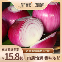 【峡城人家】河南新鲜洋葱5斤装 中果3-6两/大果6两-1.2斤