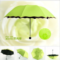 遮阳伞伞雨伞创意遇水开花花现黑胶添助天堂伞同款防紫外线三折