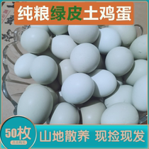 绿皮鸡蛋【50枚装】土鸡蛋深山散养正宗乌鸡蛋新鲜笨鸡蛋虫草蛋