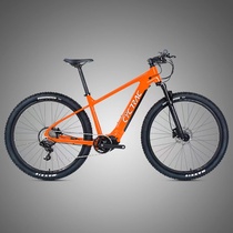 TWLTTER骓特电动山地车碳纤维锂电z助力中置电机智能电动自行车